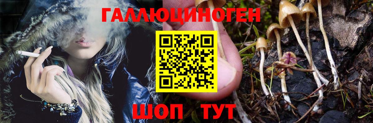 Ханты-Мансийск  Галлюциногенные грибы Psilocybe  Вход с VPN 