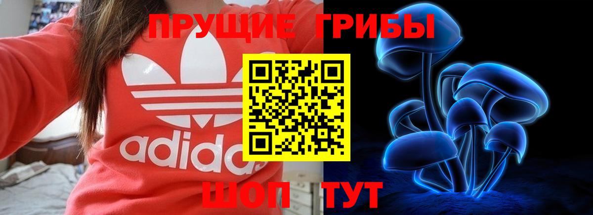 Псилоцибиновые грибы Psilocybe Ханты-Мансийск